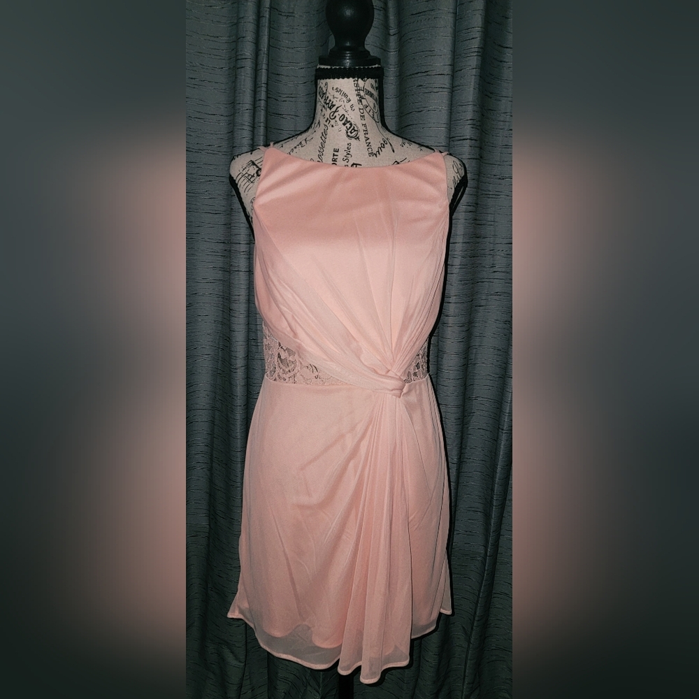 Chic Pink David's Bridal Dress